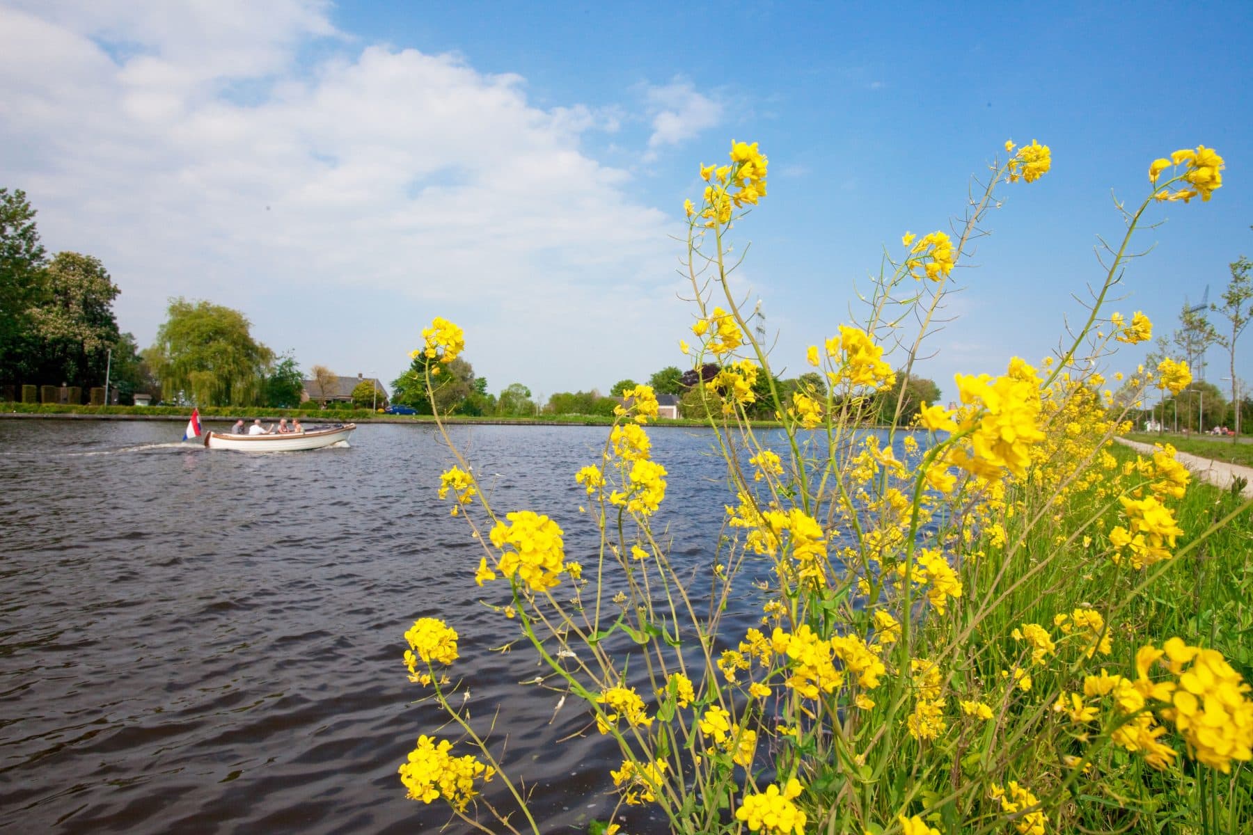 Pact3D-Woningbouw-Zwaaikom-Rijn met bloemen